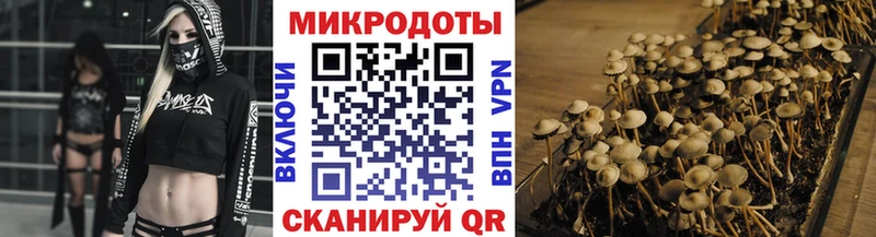 Псилоцибиновые грибы MAGIC MUSHROOMS Кизел
