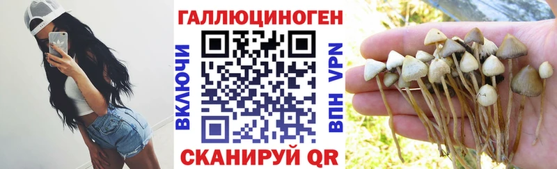 Псилоцибиновые грибы ЛСД  Купить  Кизел 